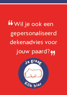 DocHorse Paardendekens Advies