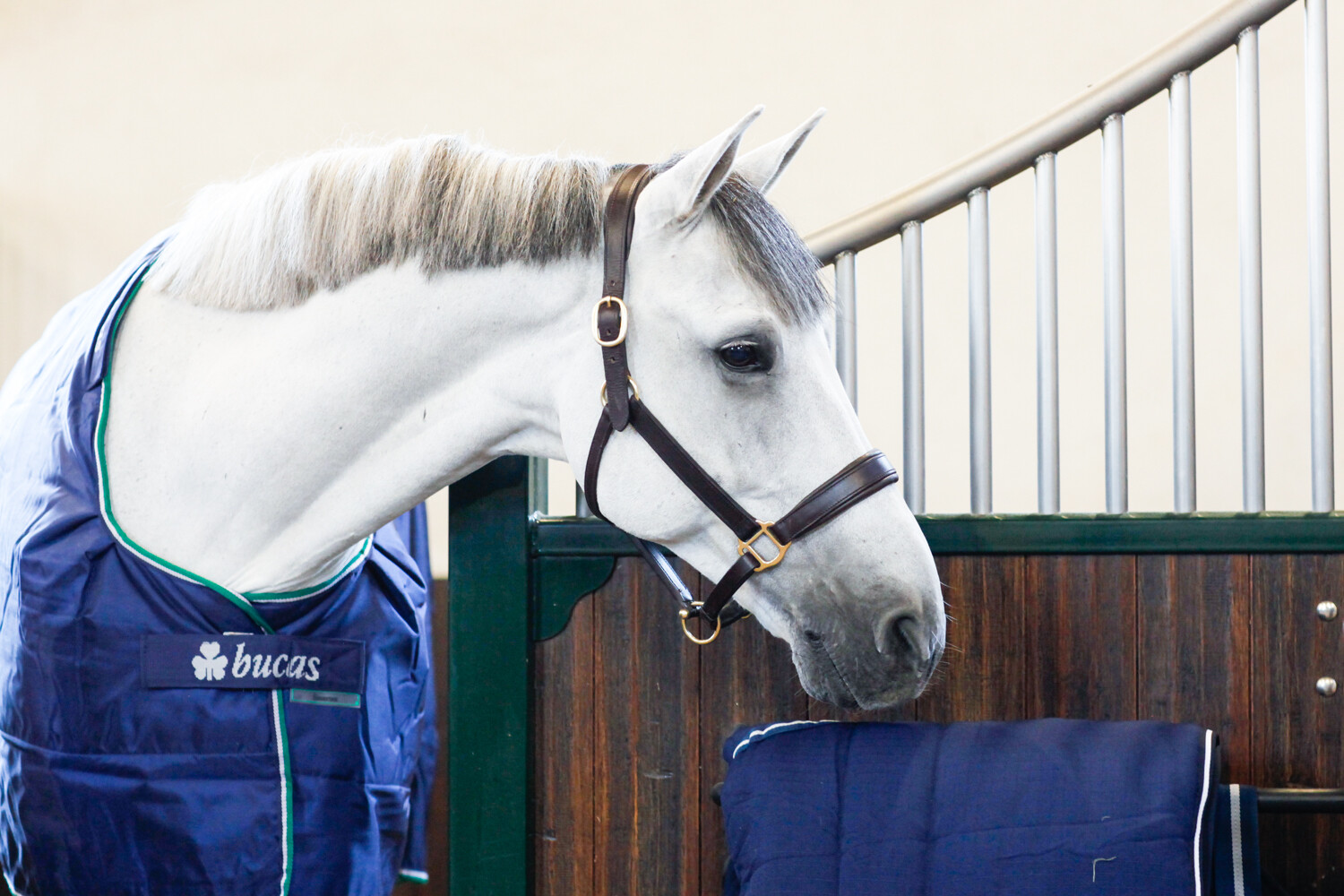 Pellen De layout Sanders Bucas Smartex dekens voor je paard - DocHorse