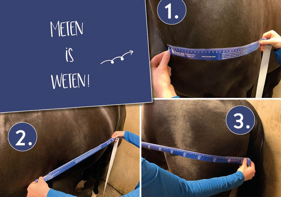 Welke dekenmaat heeft paard? - DocHorse