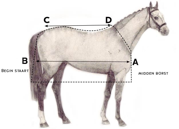 Berg kleding op mentaal sneeuw Horseware Maattabel - DocHorse