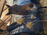 Review image Review image