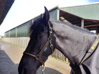 Review image Review image