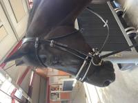 Review image Review image