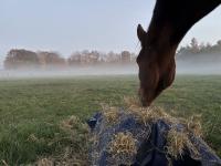 Review image Review image