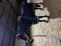 Review image Review image