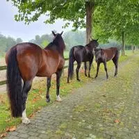 Review image Review image