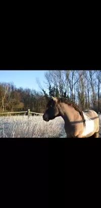 Review image Review image