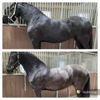 Review image Review image