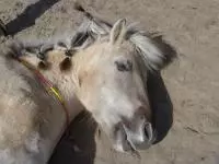 Review image Review image