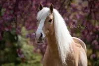 Review image Review image