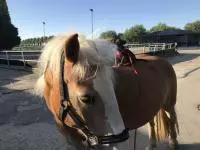 Review image Review image