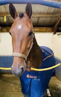 Review image Review image