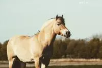 Review image Review image