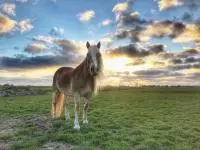 Review image Review image