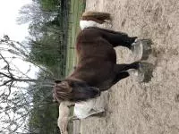 Review image Review image