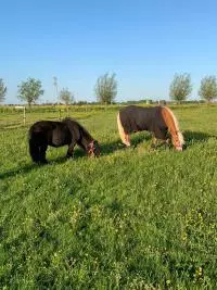 Review image Review image