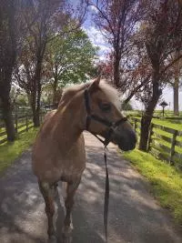 Review image Review image