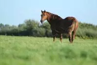 Review image Review image