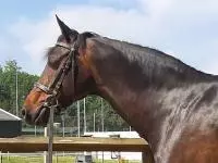 Review image Review image