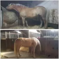 Review image Review image