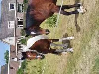 Review image Review image