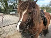 Review image Review image