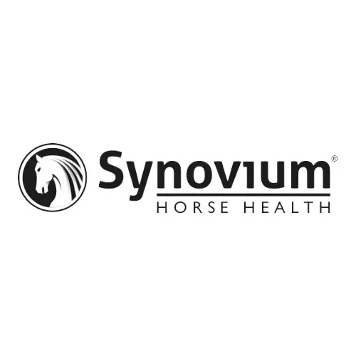 Synovium