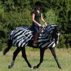 bucas buzz-off vliegendeken riding
