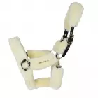 kentucky halster bont