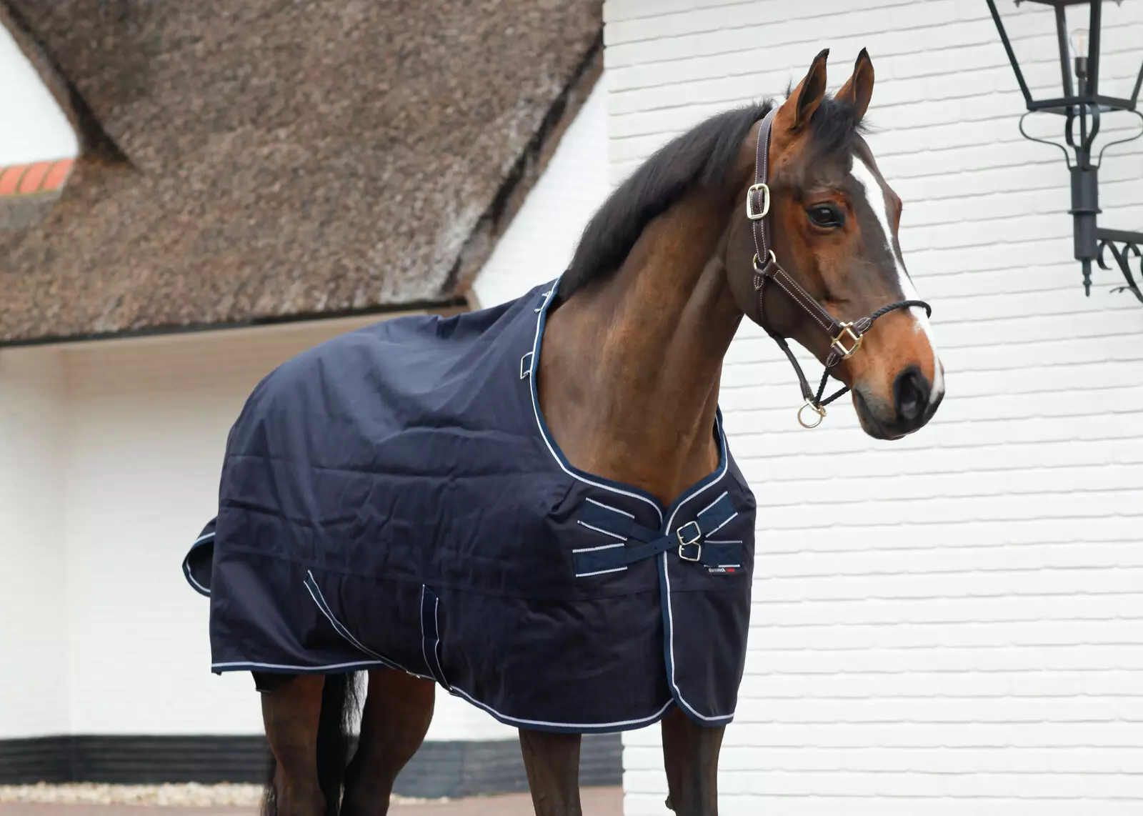 winterdeken paard