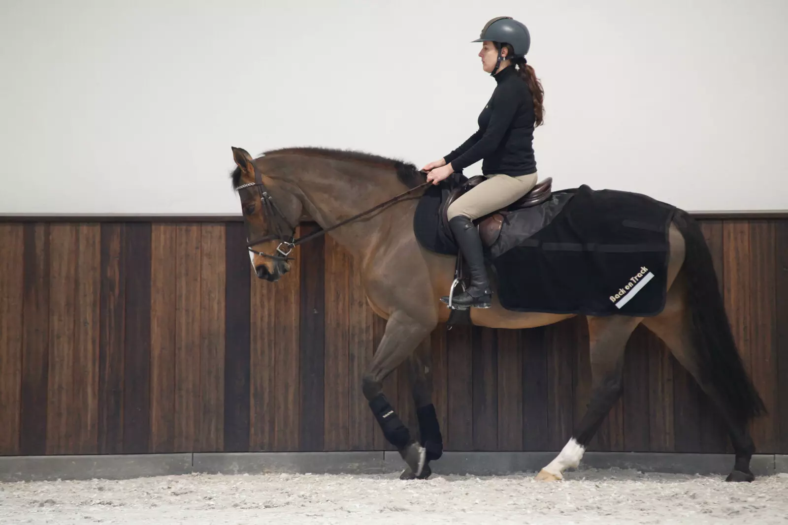 de sneeuwtips voor jouw paard