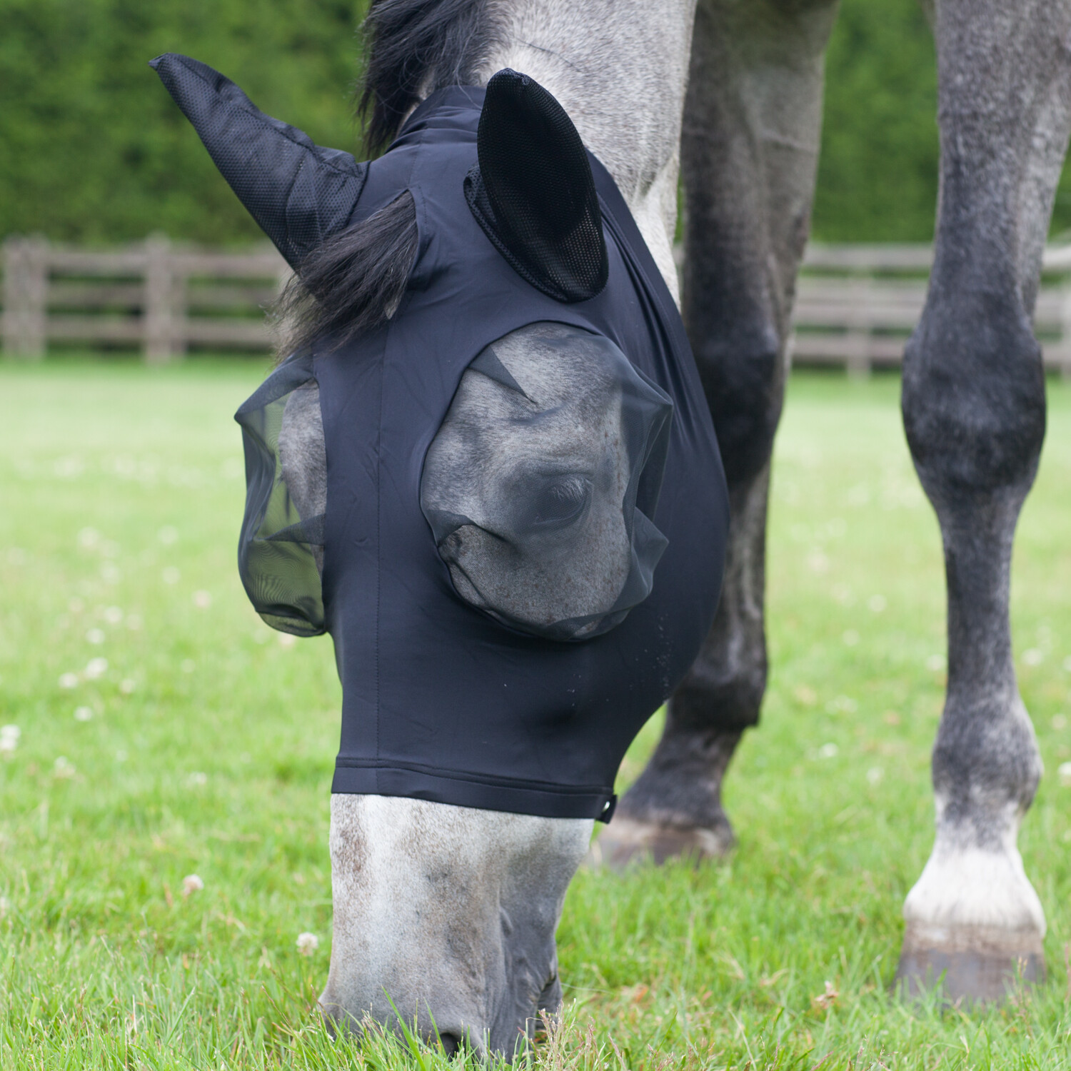 Hoe bepaal ik de juiste maat voor een vliegenmasker?