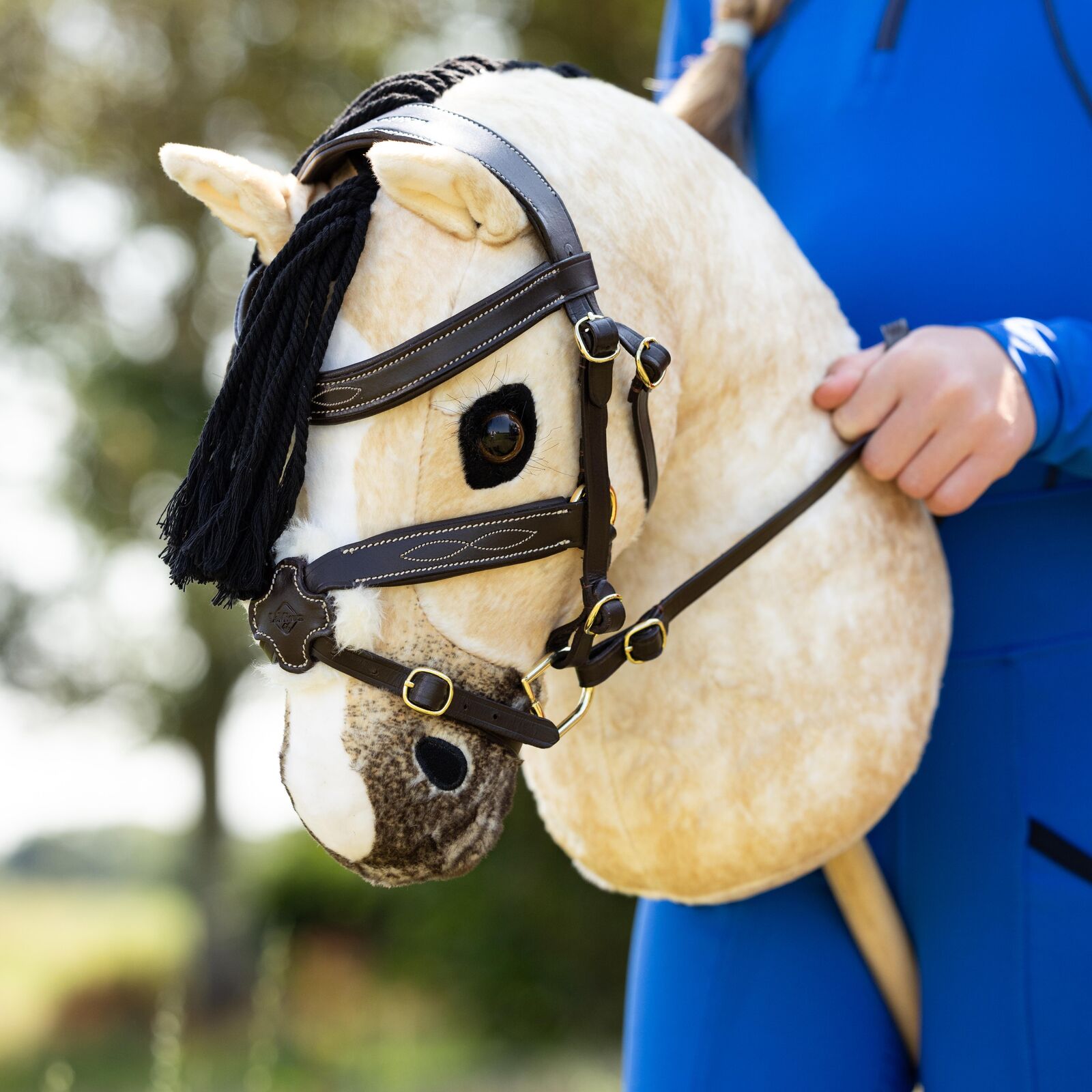 Hobby Horse