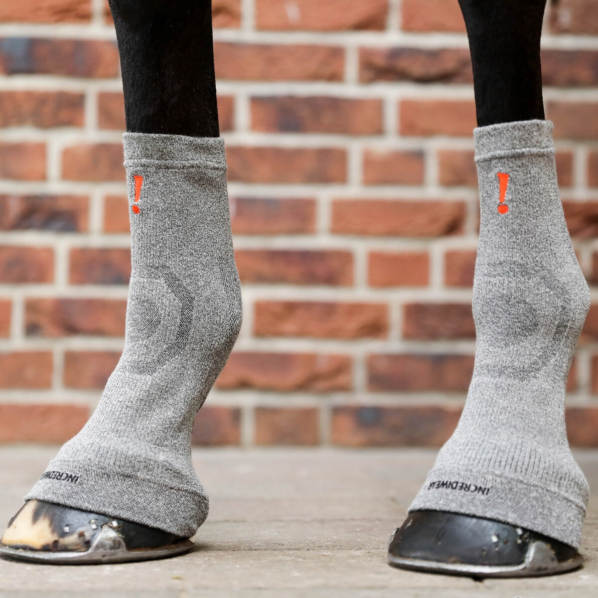 Incrediwear Equine