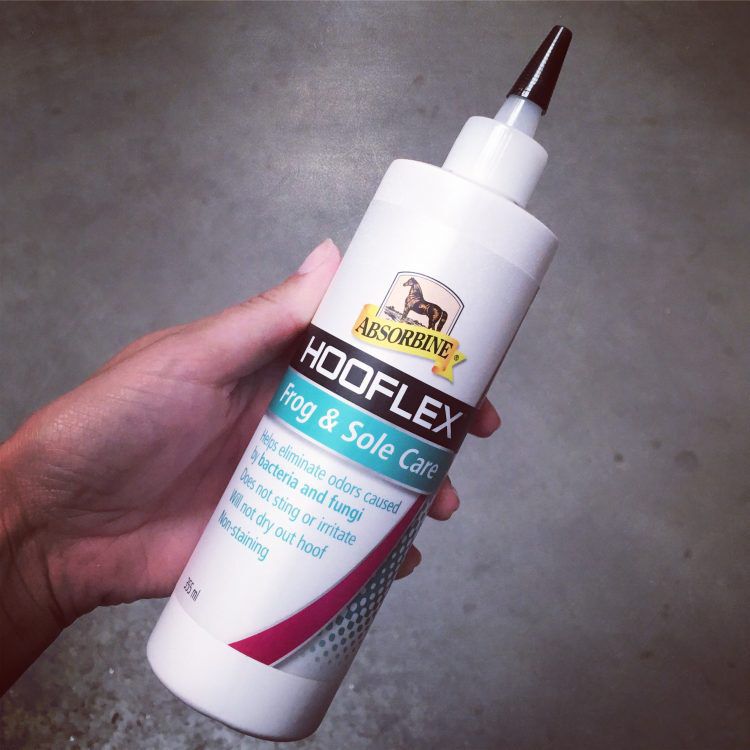 absorbine-frog-sole-in-de-spotlight