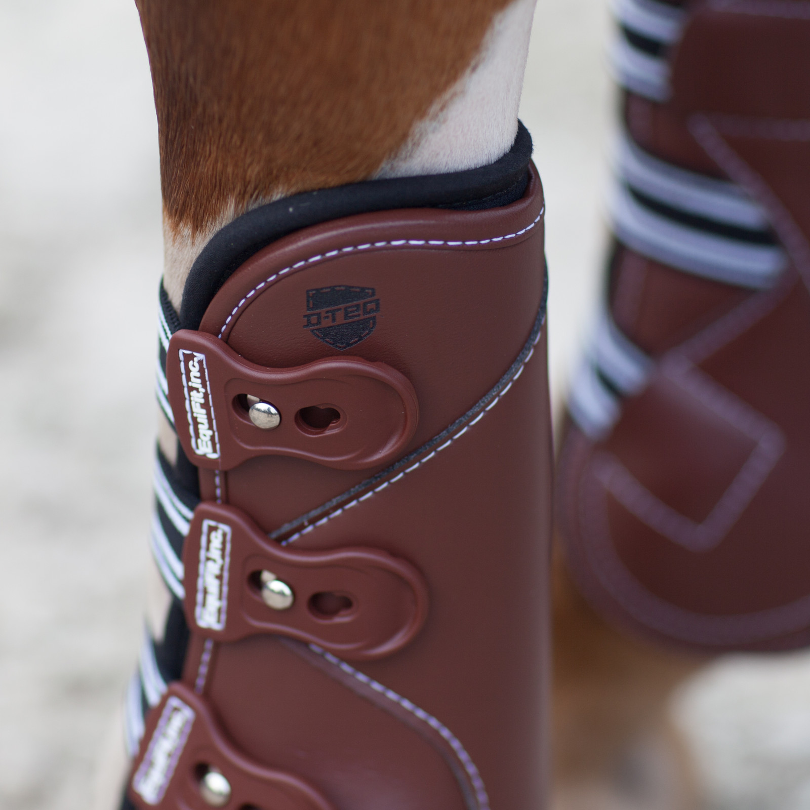 Achter de schermen: Van idee tot EquiFit product