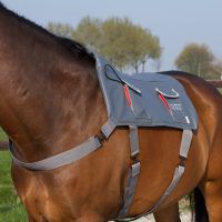 Equilibrium Massage Pad