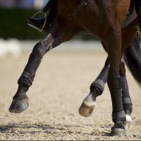 5 Feiten en fabels over Magnesium