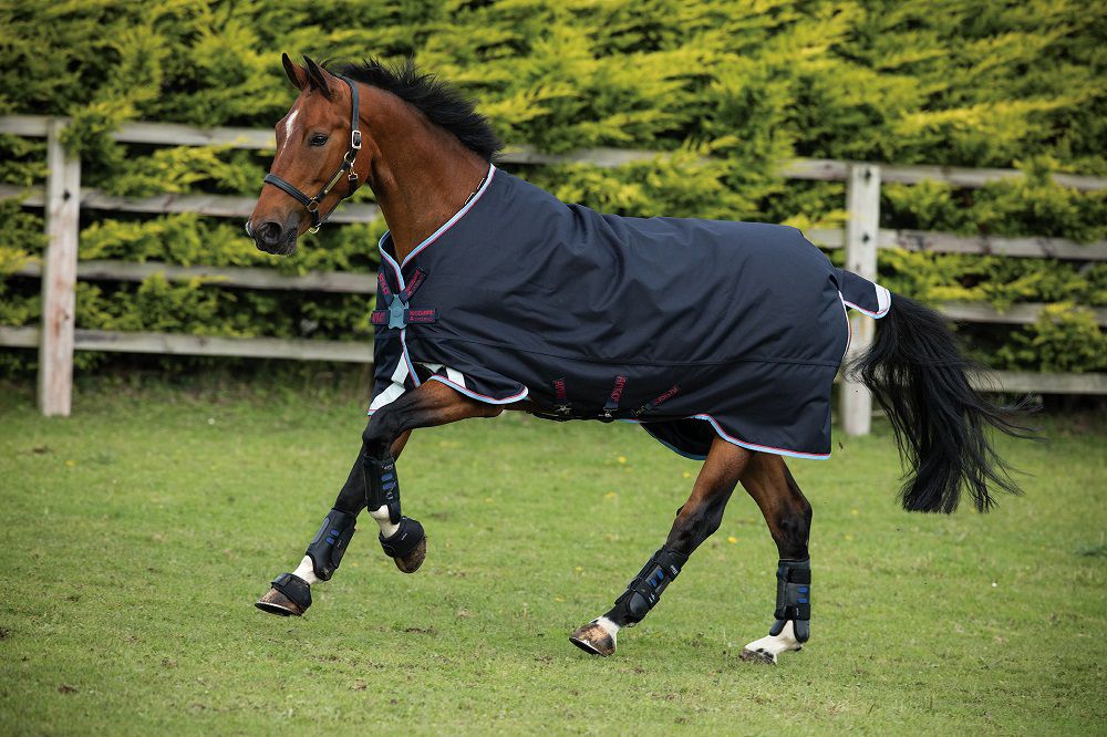 werknemer revolutie wees gegroet Hoe zoek je de beste deken voor jouw paard uit nu het koude seizoen weer aangebroken is? - DocHorse werknemer revolutie wees gegroet Hoe zoek je de beste deken voor jouw paard uit nu het koude seizoen weer aangebroken is? - DocHorse