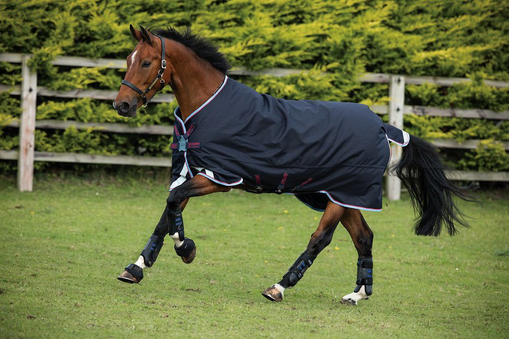 Hoe zoek je de beste deken paard uit nu het koude aangebroken is? - DocHorse