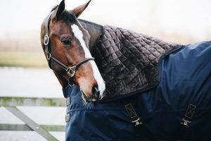 Kentucky deken