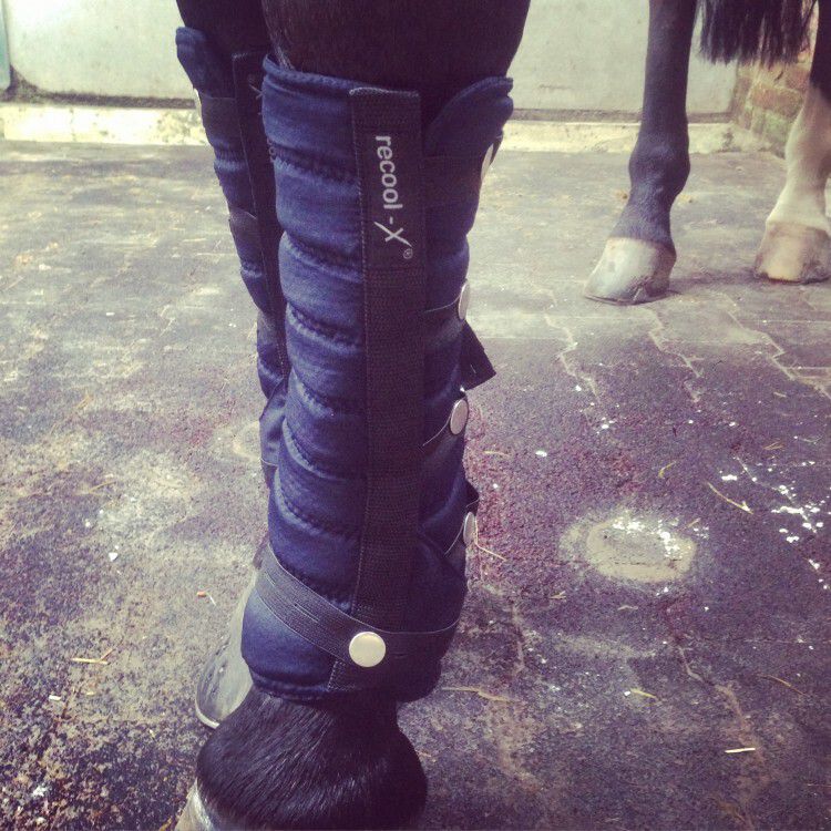 koelen-zonder-vriezer-boots