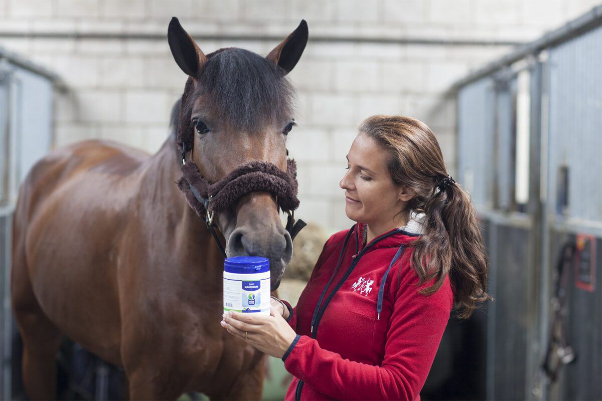 magnesium-krijgt-jouw-paard-hier-wel-genoeg-van-binnen