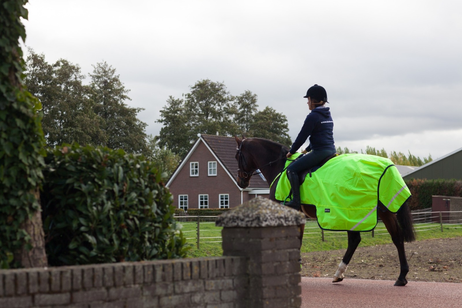 Reflecterende producten paard
