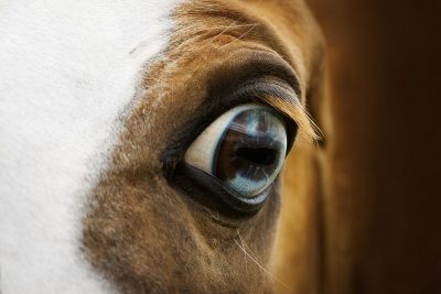 Stress, hoe ontstaat het en wat doe je er tegen?
