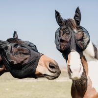 Tips voor het perfecte vliegenmasker!