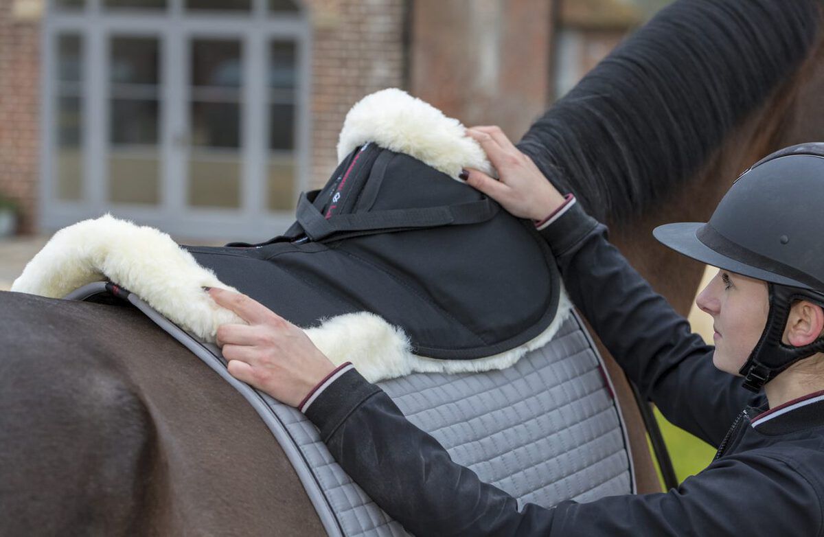 Welke zadelonderlegger past bij jouw paard? - Gastblog Lemieux