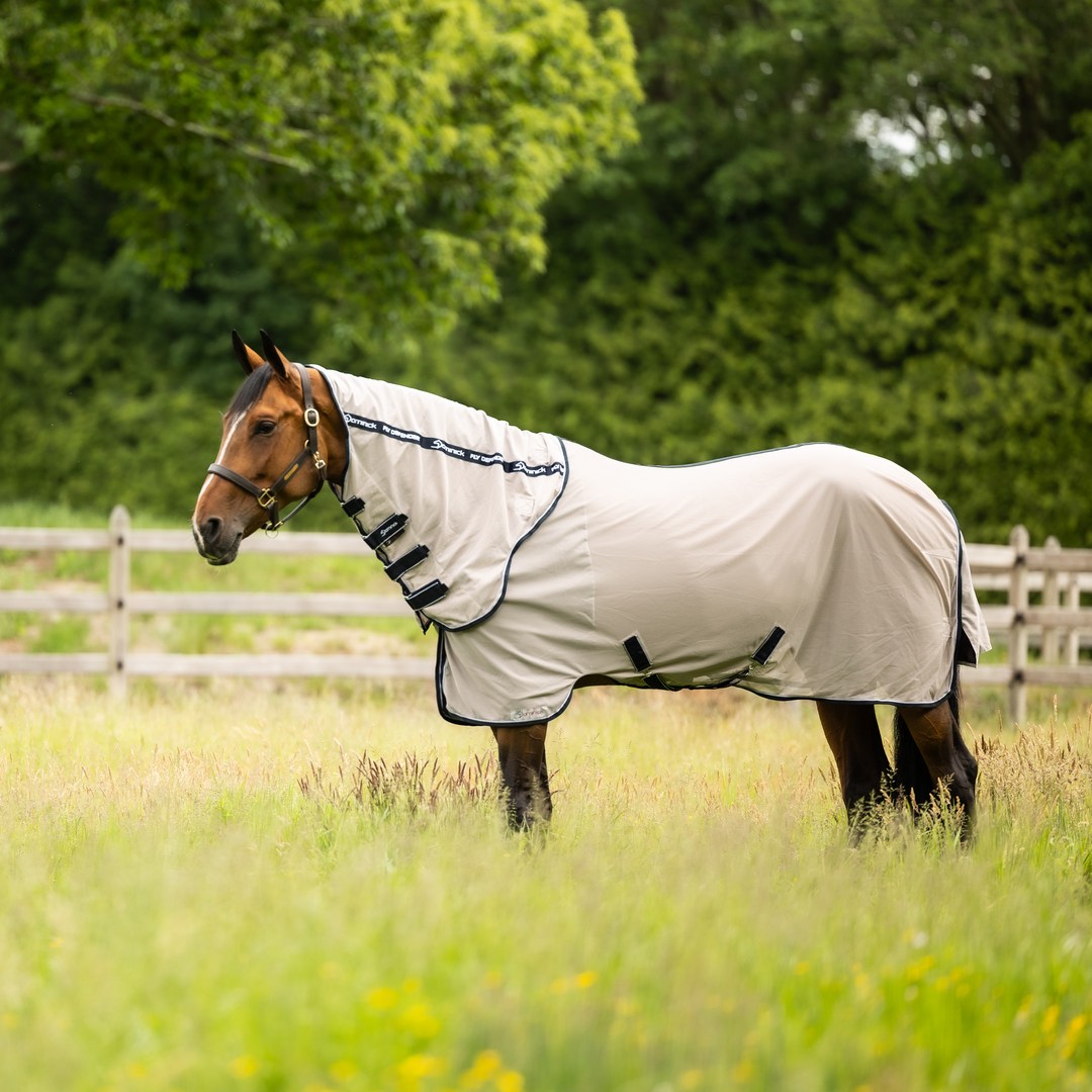 Paardendekens