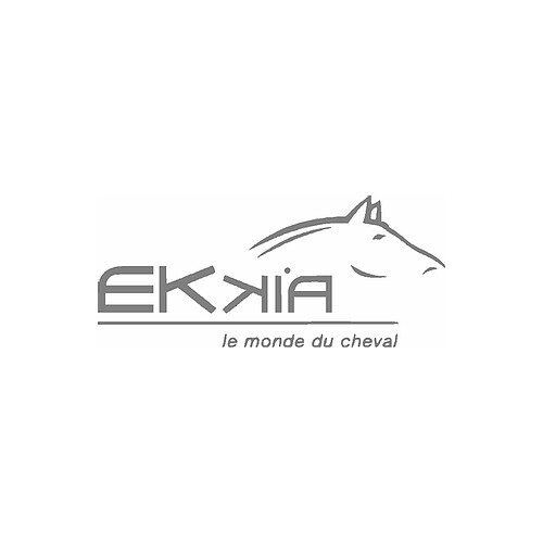 Ekkia