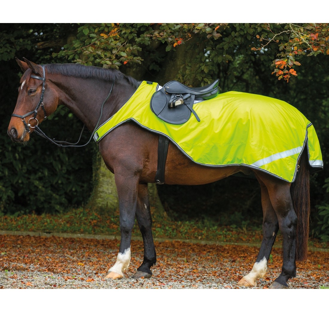 Horseware Amigo Reflective Competition Sheet Reflecterende Uitrijdeken Dochorse